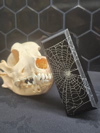 Image 3 of Beautiful Vintage Ebony wooden jewellery trinket Box & Preserved Web E