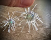 Image 2 of “SWEETGUM” - BOREALIS / METEOR