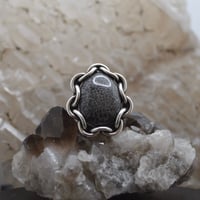 Image 1 of Bryozoan Agate Ring - size 11