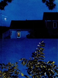 Image 4 of BLUE NIGHT