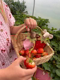 Image 4 of Strawberry Season