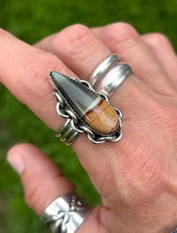 Image 1 of Polychrome Picture Jasper ⛓️Ring