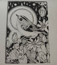 Image 3 of B&W Goldcrest and celandine
