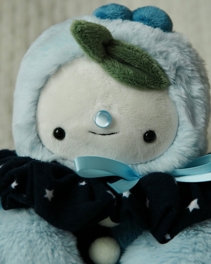 Image of FIRST TIME BUYERS ONLY Blueberry Boy MEDIUM