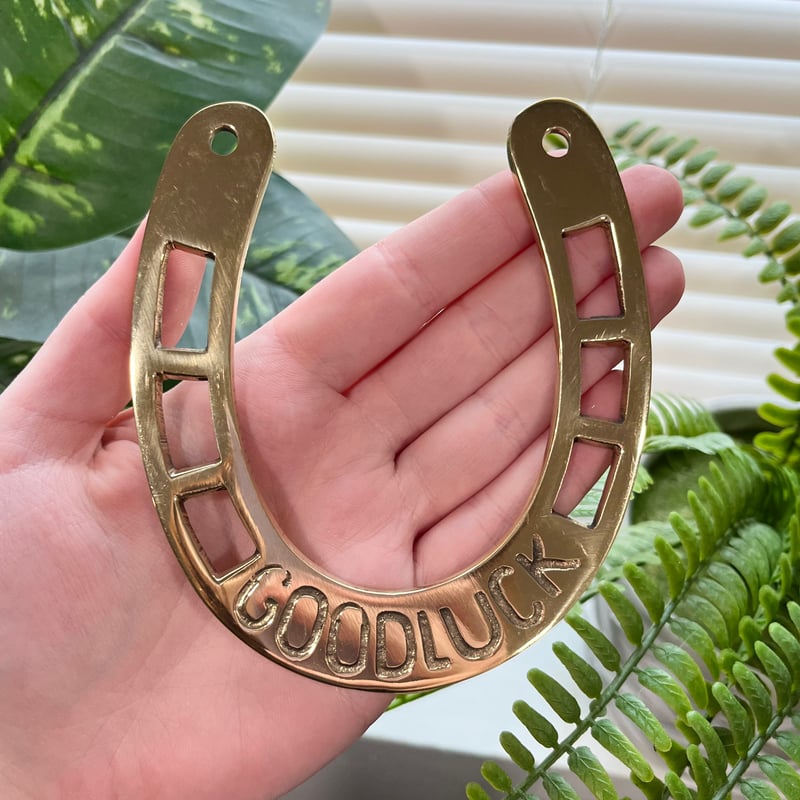 Lucky Horseshoe Over the Moon Magic