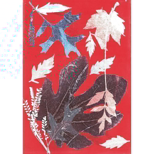 Image of Jōl Set Of 3 Notecards (A)