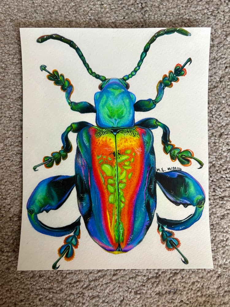 Image of Frog-Legged Beetle Print