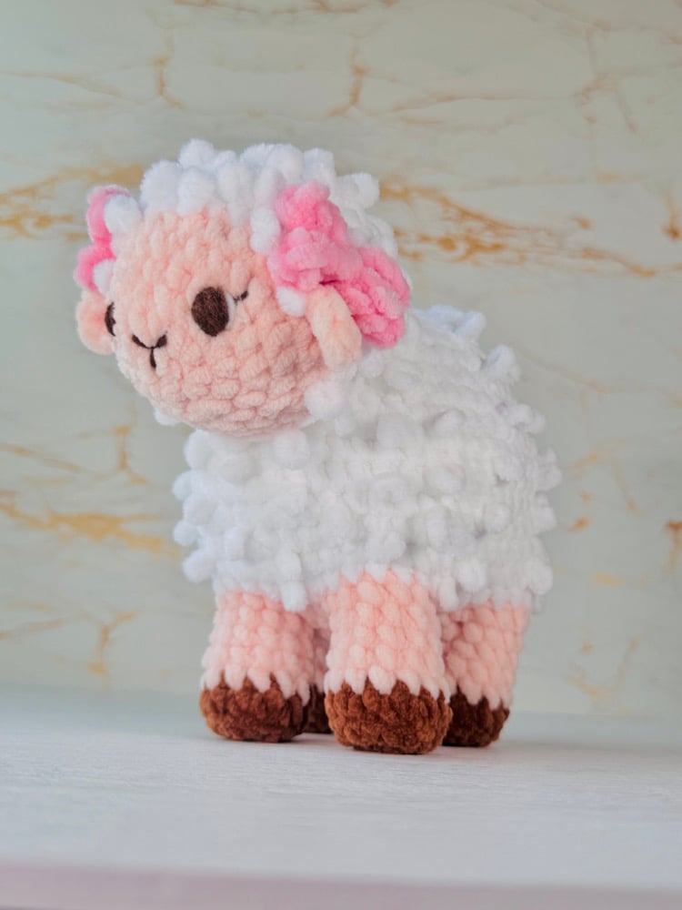 Image of sheep