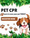 Pet CPR Training