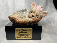 Image 6 of Custom Engraved Yorkie Urn Yorkshire Terrier In Bed Pet Portrait Handmade