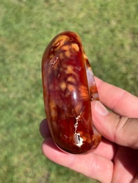 Image 8 of Carnelian Bowl | Madagascar #2978