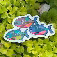 Image 7 of Piranha Holo 3” Sticker