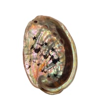 Image 1 of Lamb triplets 