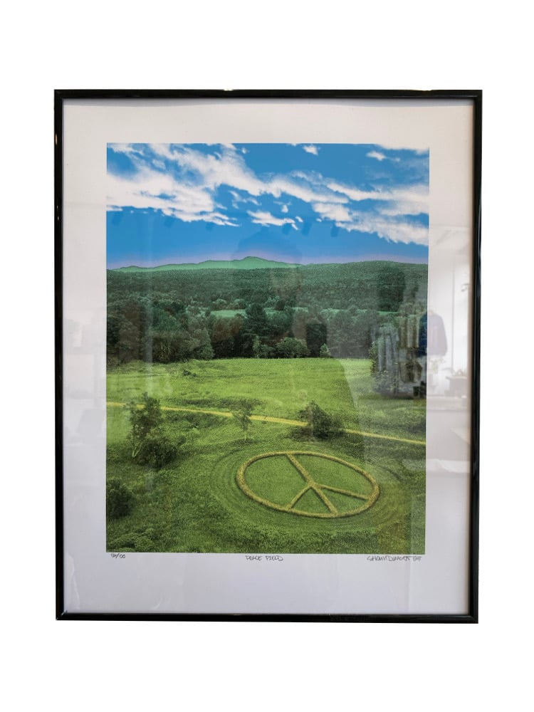 Shawn Dumont / 'Peace Field'