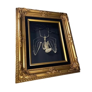 Image of Skeleton Bat Ornate