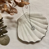 ΑΤΣΑΛΙΝΟ ΚΟΛΙΕ ΔΙΔΥΜΟΣ