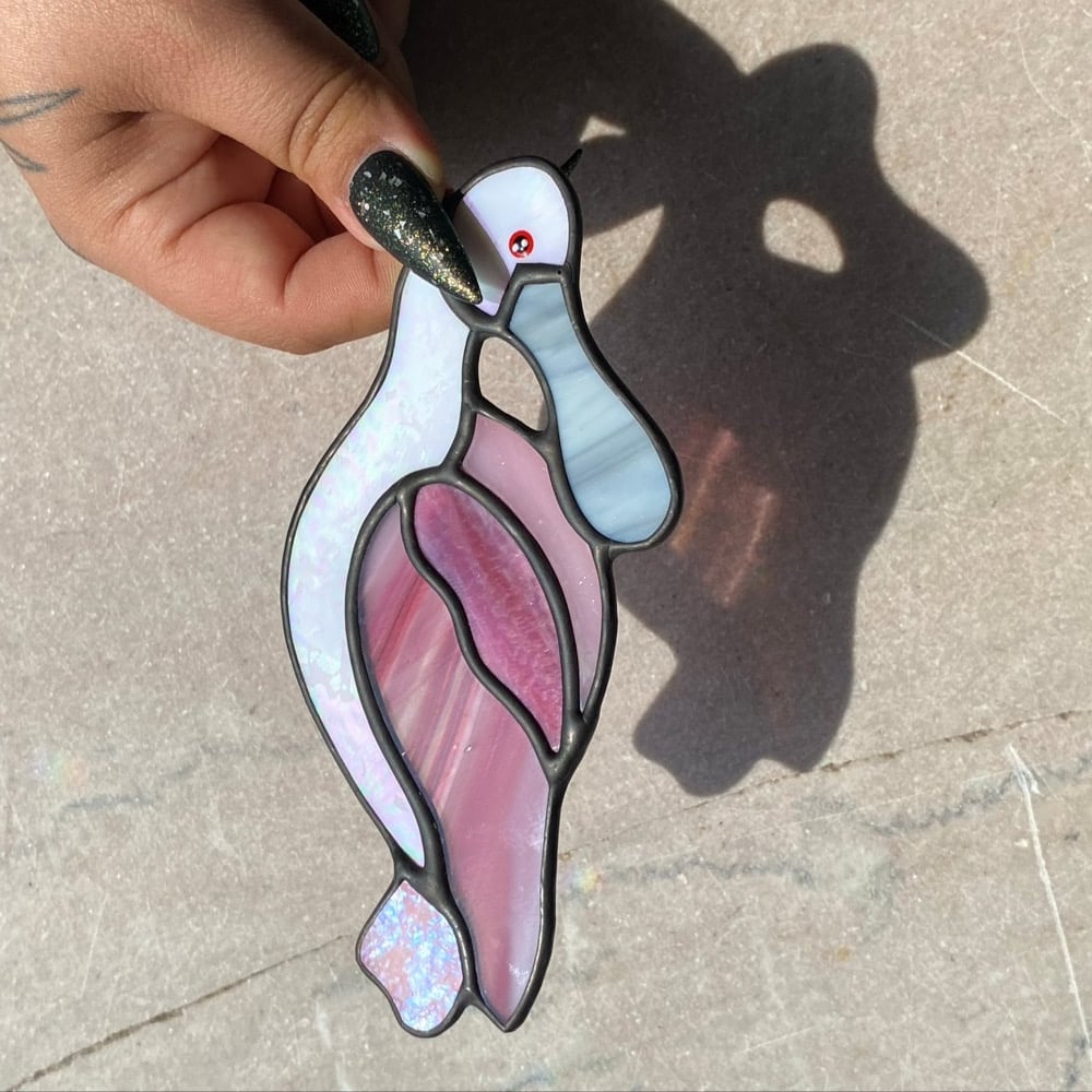 Image of Spoonbills