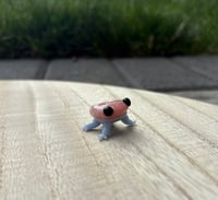 frog 3