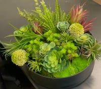 Image 2 of Large Succulent bowl