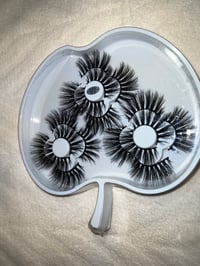 Lashpack kd555