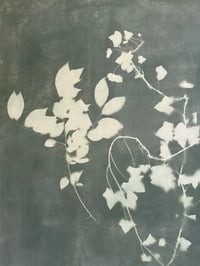 Image 5 of Ivy