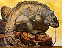 Image 1 of The Shedding