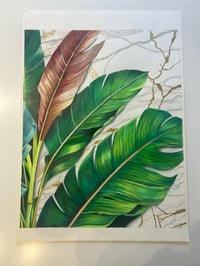 Image 1 of FeatherLeaf