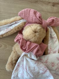 Image 1 of DOUDOU ET SON LANGE JOUY ROSE