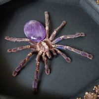 Image 2 of Gooty Sapphire