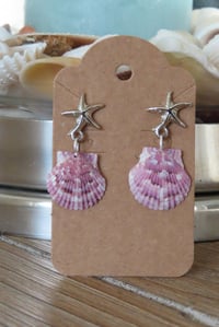 Image 1 of Silver Starfish Scallop Earrings 