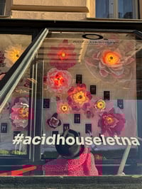 Image 20 of ACID BLOOM workshop