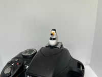 Image 3 of Piping Plover Hotshoe Cover
