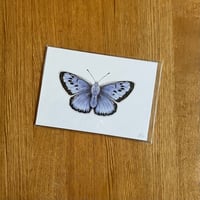 Image 3 of Butterfly Print #1 - Various Designs