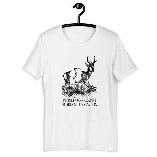 Pronghorns against - more colors