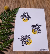 Firefly Print