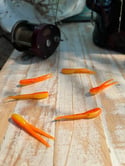 2" BA Split tail - Sunrise Orange