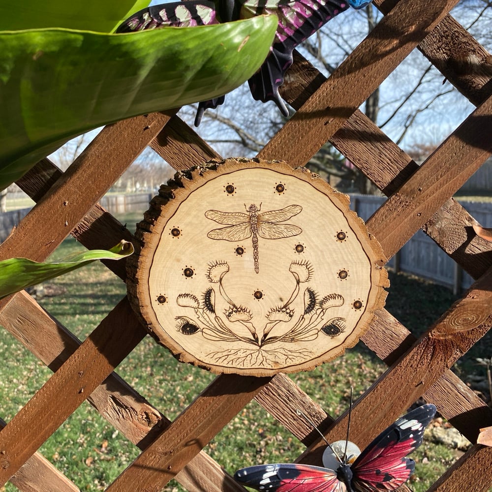 Image of great escape wood art 