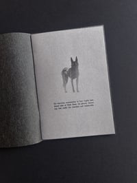 Image 2 of The Black Shuck of Bungay