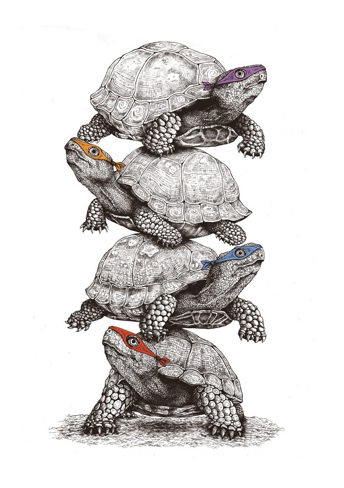 Image of Ninja Turtles