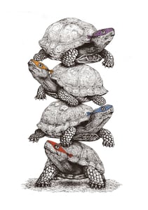 Image of Ninja Turtles