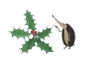 Image of 8 pack: Christmas Hedgehog cards