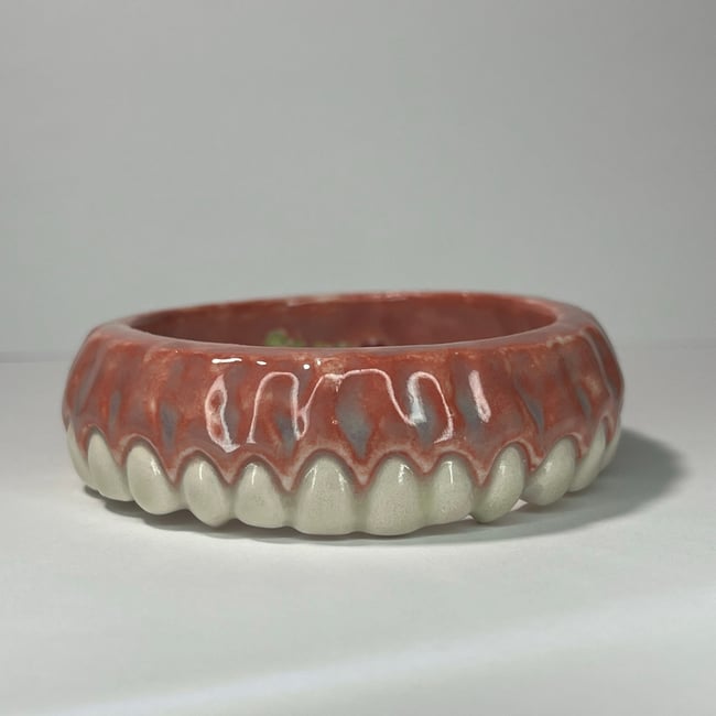 Teeth Bracelet E - 7.25 in Inner Circumference