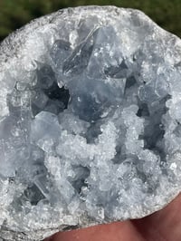 Image 7 of Celestite Geode #1950