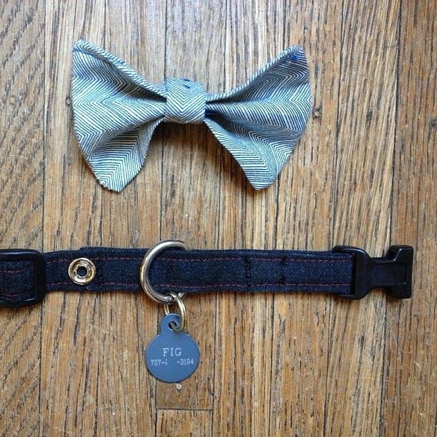 Image of bow-tie collar