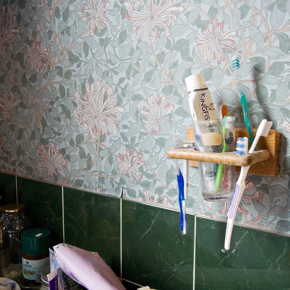 Image of At Home with Morris (Toothbrushes), 2007