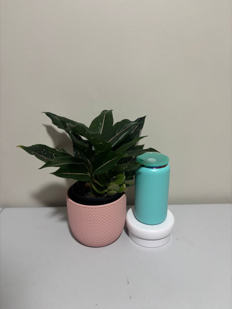 Powder Coated Libby Can - Rainbow Plated