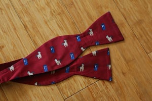 Doctor Whoovesbow-tie