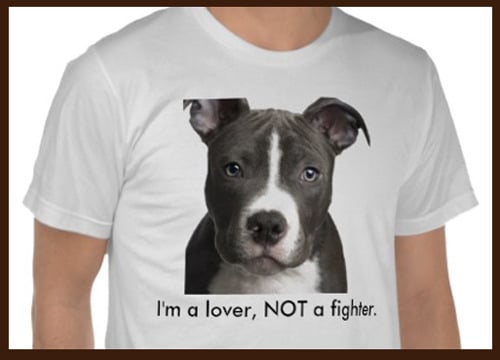 Image of I'm a lover not a fighter t-shirt