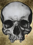 Image of gold skull print