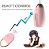 Remote Couples Vibrator 